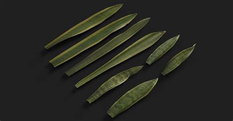 ArtStation - Snake Plant | Game Assets