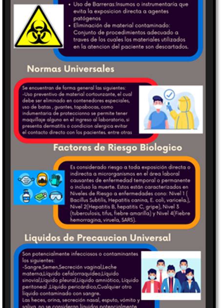 Infografía De Los Principios Universales De La Bioseguridad