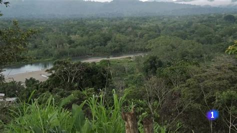 El Tapón Del Darien El Peligroso Paso Fronterizo Entre Colombia Y Panamá