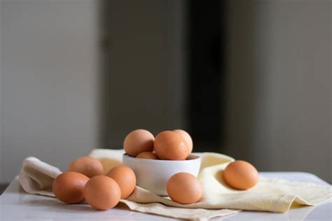 Lerne Wie Hühner Eier Legen Starte Heute GockelGarten de