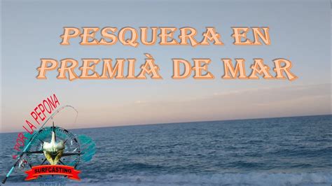 APLP Surfcasting Pesquera En La Que Damos Con Varias De Nuestras