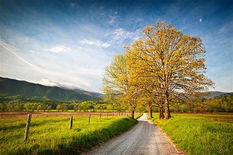 Cade's Cove Hyatt Lane Spring - Great Smoky Mountains National Park ...