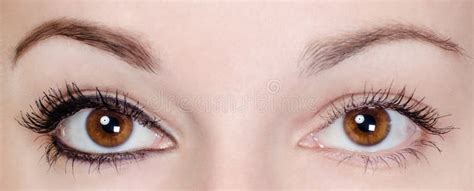 Sapphire Blue Eyes Stock Photo Image Of Colour Lenses 4334770