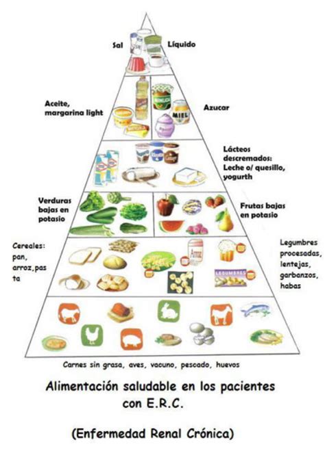 La Importancia De La Alimentación FundaciÓn Renal ÍÑigo Álvarez De Toledo