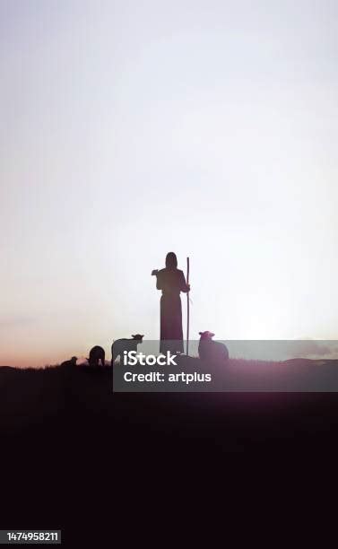 Shepherd Jesus Christ Leading The Sheep And Sun Light And Jesus Bokeh Silhouette Stock Photo ...