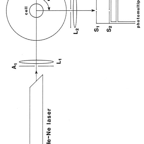 1 Schematic Diagram Of The Optical Arrangement Used For Photon Download Scientific Diagram