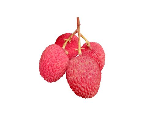 Premium Photo Nephelium Hypoleucum Korlan Fruits Nephelium Fruits Is