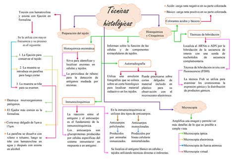 Mapa Conceptual De Tecnicas Histologicas