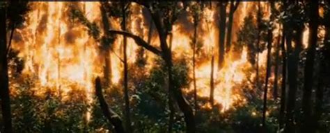 Forest Fire Scene - Katniss Everdeen Image (30348081) - Fanpop