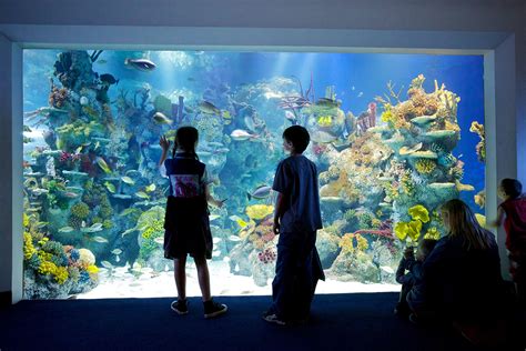 Bristol Aquarium - Whats on in Bristol: The Bristol Guide to - Events ...