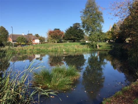 Sanderstead Pond | Croydon Conservatives