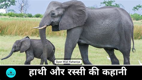 Hathi Aur Rassi Ki Kahani हाथी और रस्सी Gyan Wali Kahaniyan Hindi