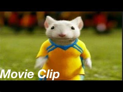 Soccergamestuartlittle2 mp4 3gp flv mp3 video indir