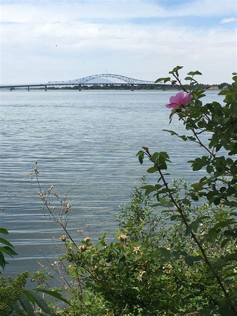 Blue Bridge Columbia River Kennewick Wa Kennewick Columbia River