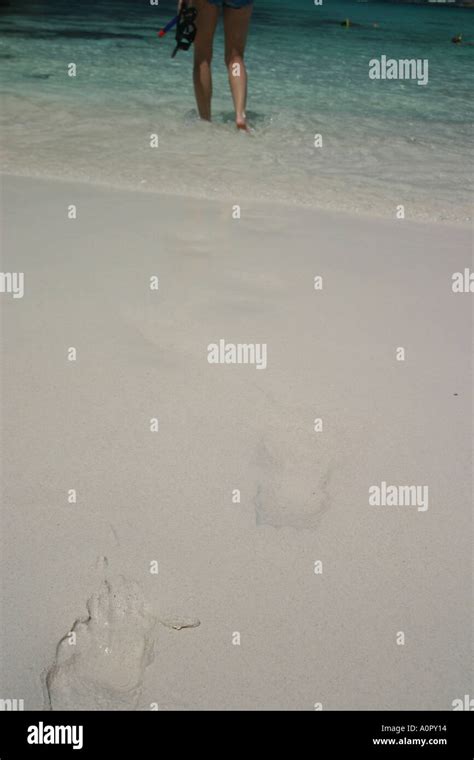 walking   water stock photo alamy