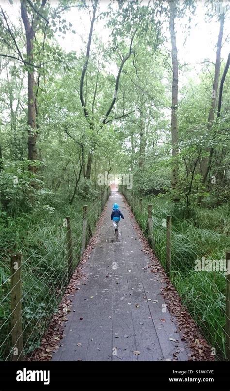 Boy On A Bridge Over Stream Stock Photo Alamy