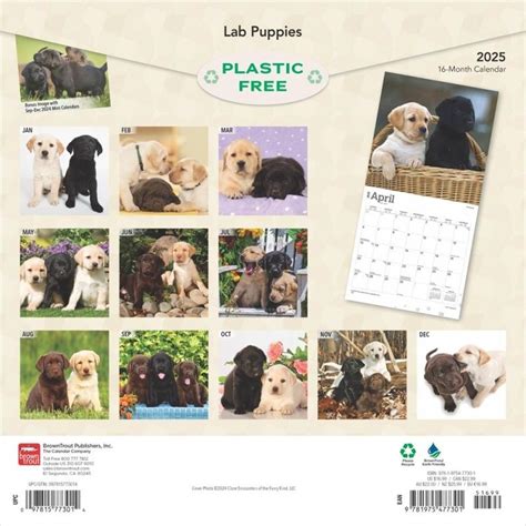 Labrador Retriever Puppies Kalender Kopen Eenvoudig En Snel