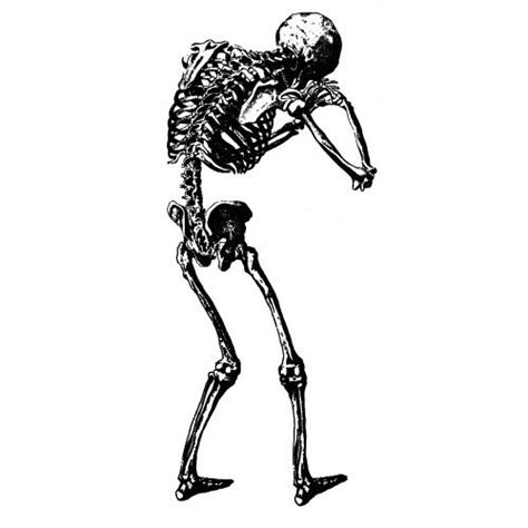 Crying Skeleton Back Tattoo Idea Skeleton Tattoos Back Tattoo Body