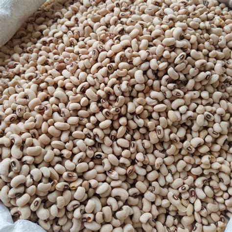 Jual Kacang Tunggak Putih 500 Gram Shopee Indonesia