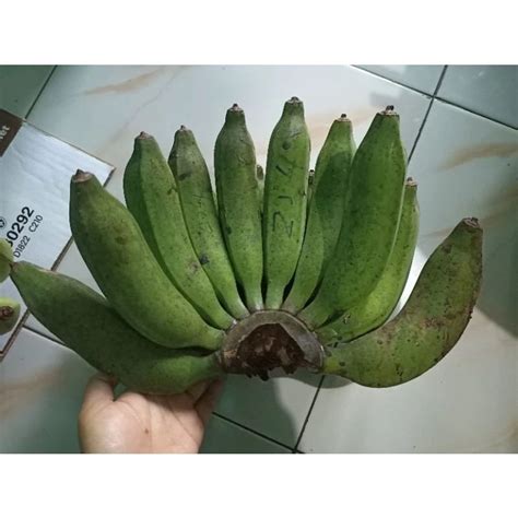 Jual PISANG RAJA HIJAU 1 KG FRESH PISANG ROJO KING BANANA Shopee