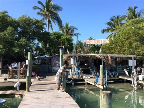 Robbies Marina - Picture of Robbie's of Islamorada, Islamorada ...