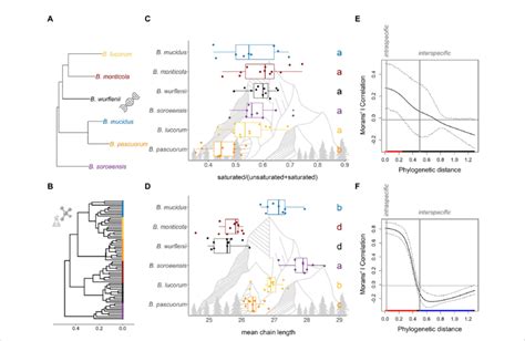 Interspecific Differences And Phylogenetic Signals In Download Scientific Diagram