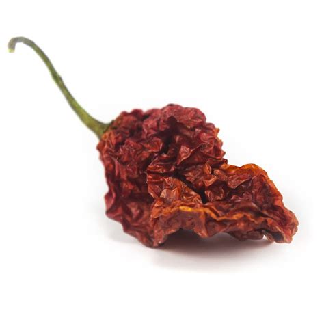 Ghost Peppers | Red Stick Spice Company