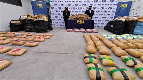 Desarticulan Banda Que Ingresaba Droga Por Pasos No Habilitados En Tarapacá Decomisaron Más De