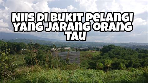 Niis Di Bukit Pelangi Yang Jarang Orang Tau Youtube