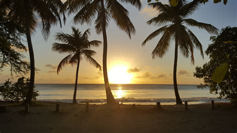 Decouvrez La Plage Des Salines De La Martinique Touristmartinique Images