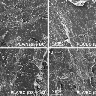 SEM Micrographs Of Cryogenic Fracture Surfaces Of Nanocomposites With