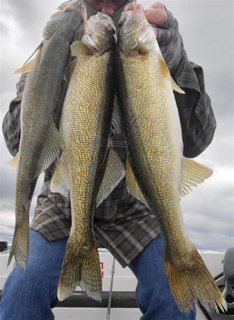 Vilas County Lakes, Vilas County - Wisconsin Fishing Reports and ...