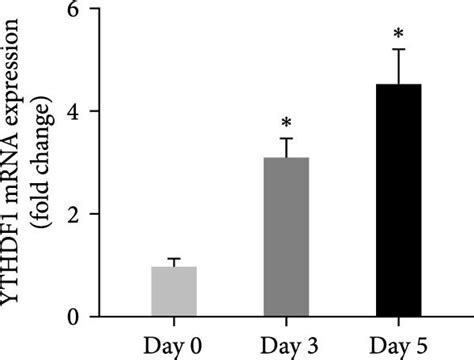 Ythdf Was Upregulated During Osteogenic Differentiation Of Hbmscs A