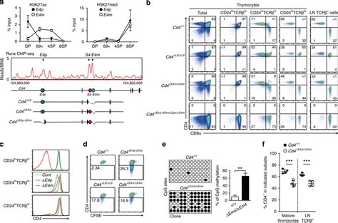 Effects of loss of the maturation enhancer, E4m, on CD4 expression. a ...