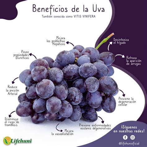 Beneficios De Las Uvas Frutas Y Verduras Beneficios Beneficios De