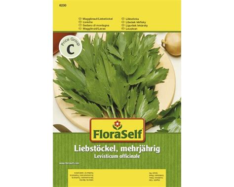 Liebstöckel Maggikraut Mehrjährig Floraself Hornbach