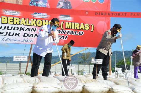 Polda Gorontalo Musnahkan 33 Ribu Liter Minuman Keras Berita Gorontalo