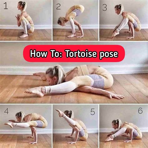 Half Tortoise Pose