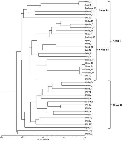 Dendrogram Of 42 Algerian Olive Accessions Obtained With 15 Ssr