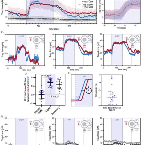 Fig S4 Membrane Tension Propagates Within Seconds Across The Cell