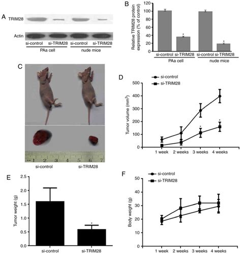 Molecular Medicine Reports