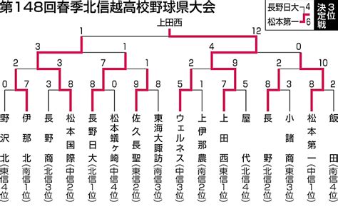 北信越高校野球県大会 上田西が猛打で優勝｜信濃毎日新聞デジタル 信州・長野県のニュースサイト