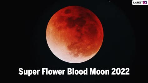 Science News | Know About Super Flower Blood Moon 2022: Date, Live Streaming And Details About ...