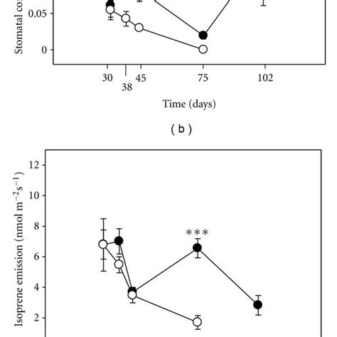 Time course of a CO2 Assimilation μmol m2 s1 b Stomatal