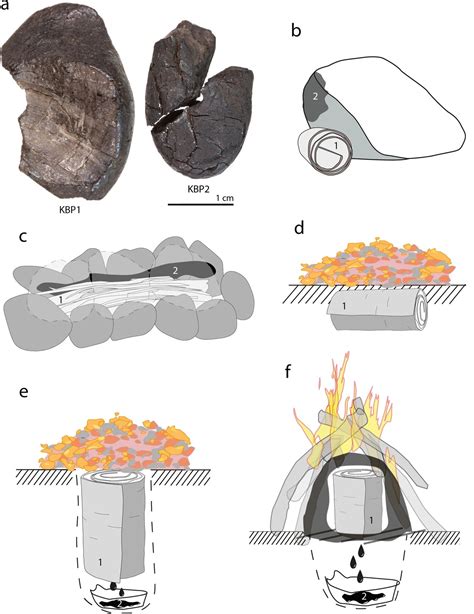 Neanderthal Technology The Complex Process Of Making Birch Tar