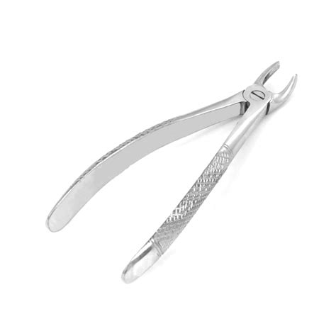 English Extracting Forceps No L Surgical Mart