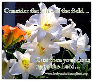 184 best (Luke 12:27, Matthew 6:28) Consider the lilies of the field ...