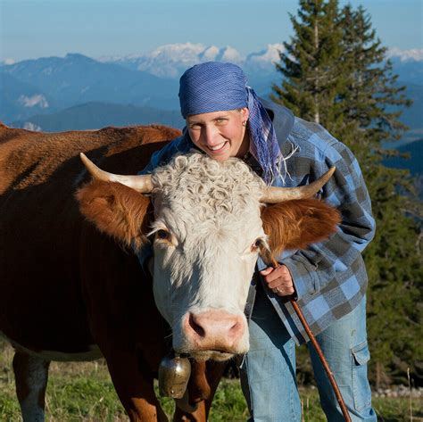 Dairymaid With Cattle Hofbauern Alm License Image 70380870