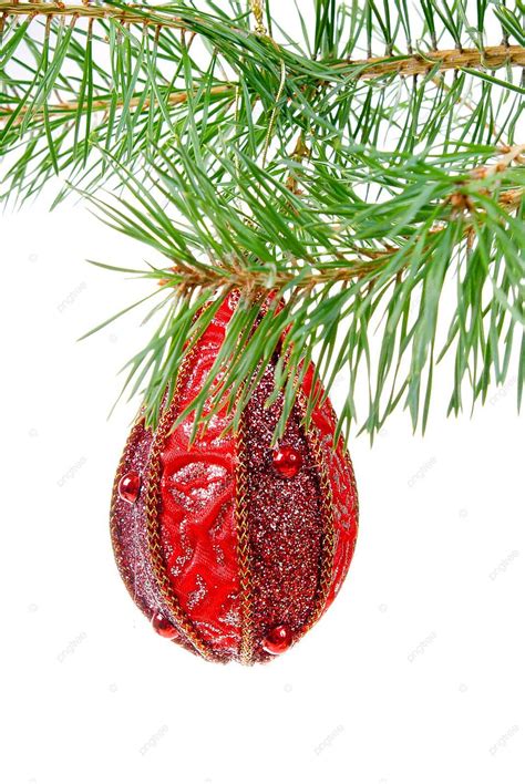 Christmas Tree Ornament Fir Tradition Tree Photo Background And Picture ...