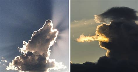 14+ Amazing Clouds That Look Like Dragons, Dogs And Dinosaurs | Bored Panda